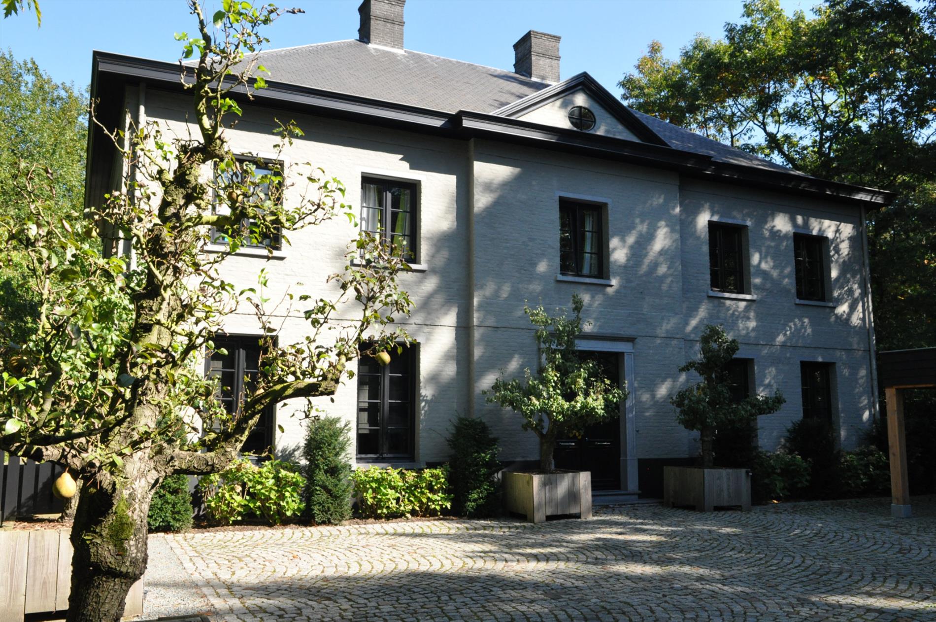 estate