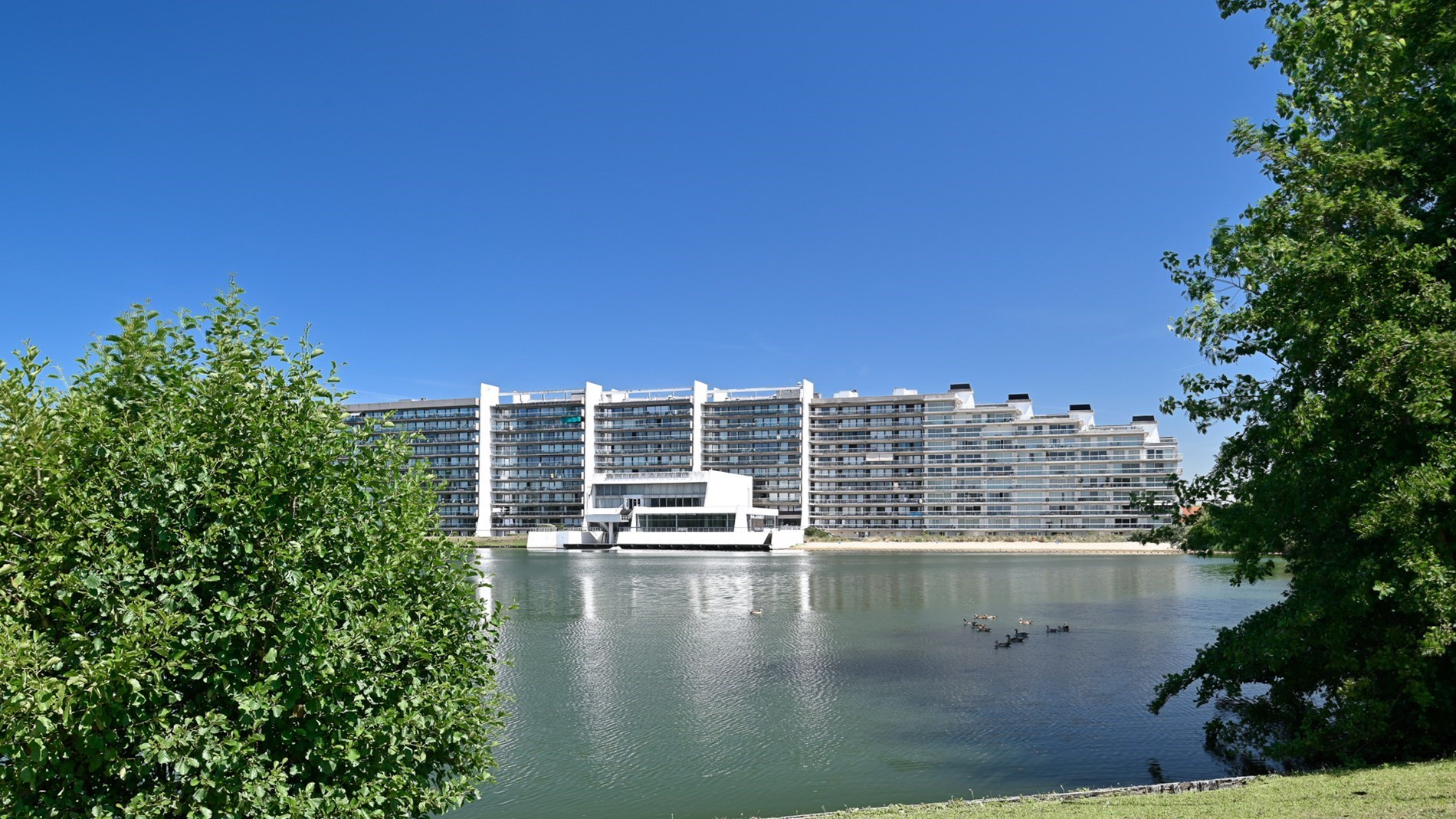 Appartement
                                te koop
                                in Duinbergen