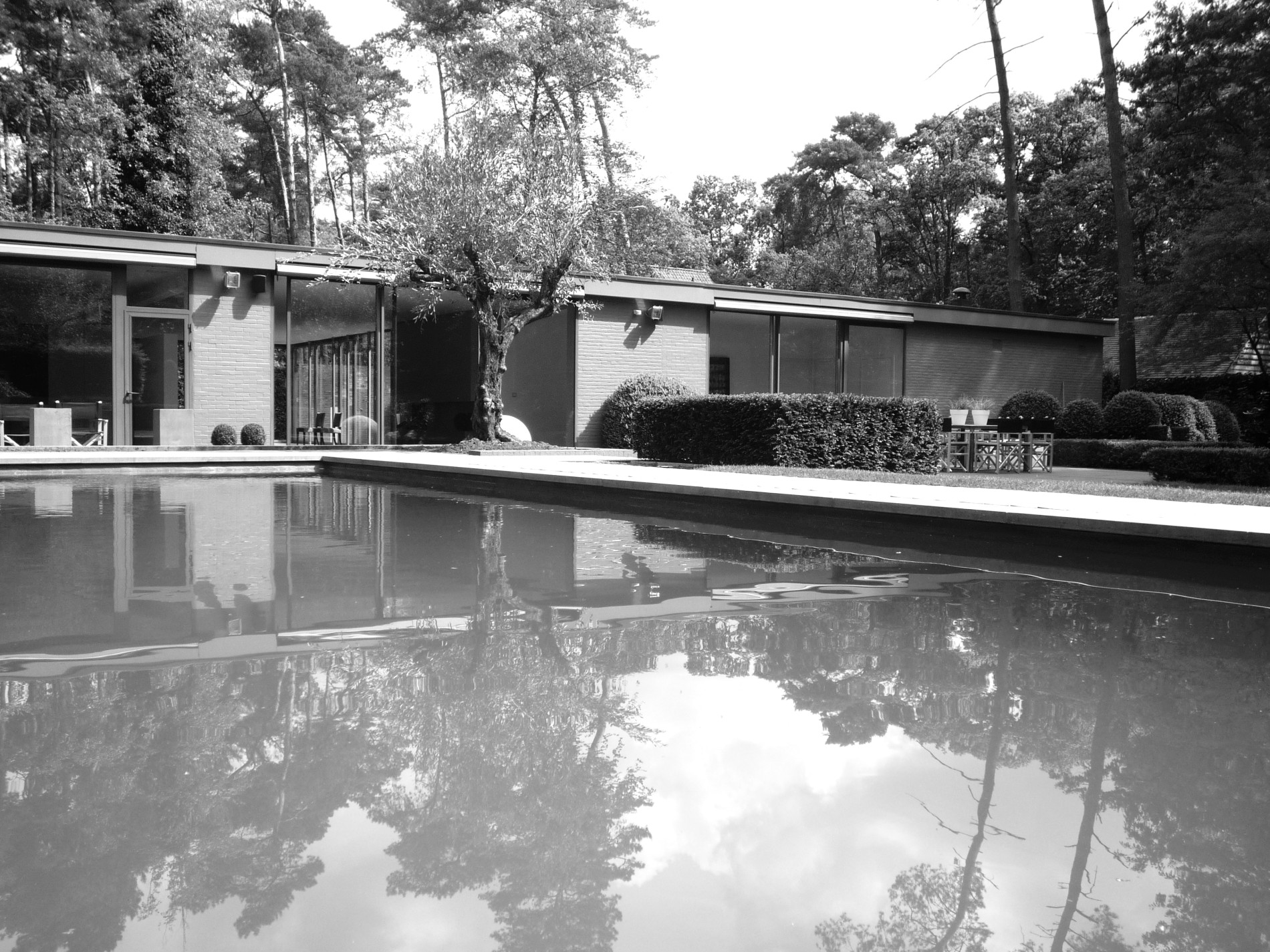 estate