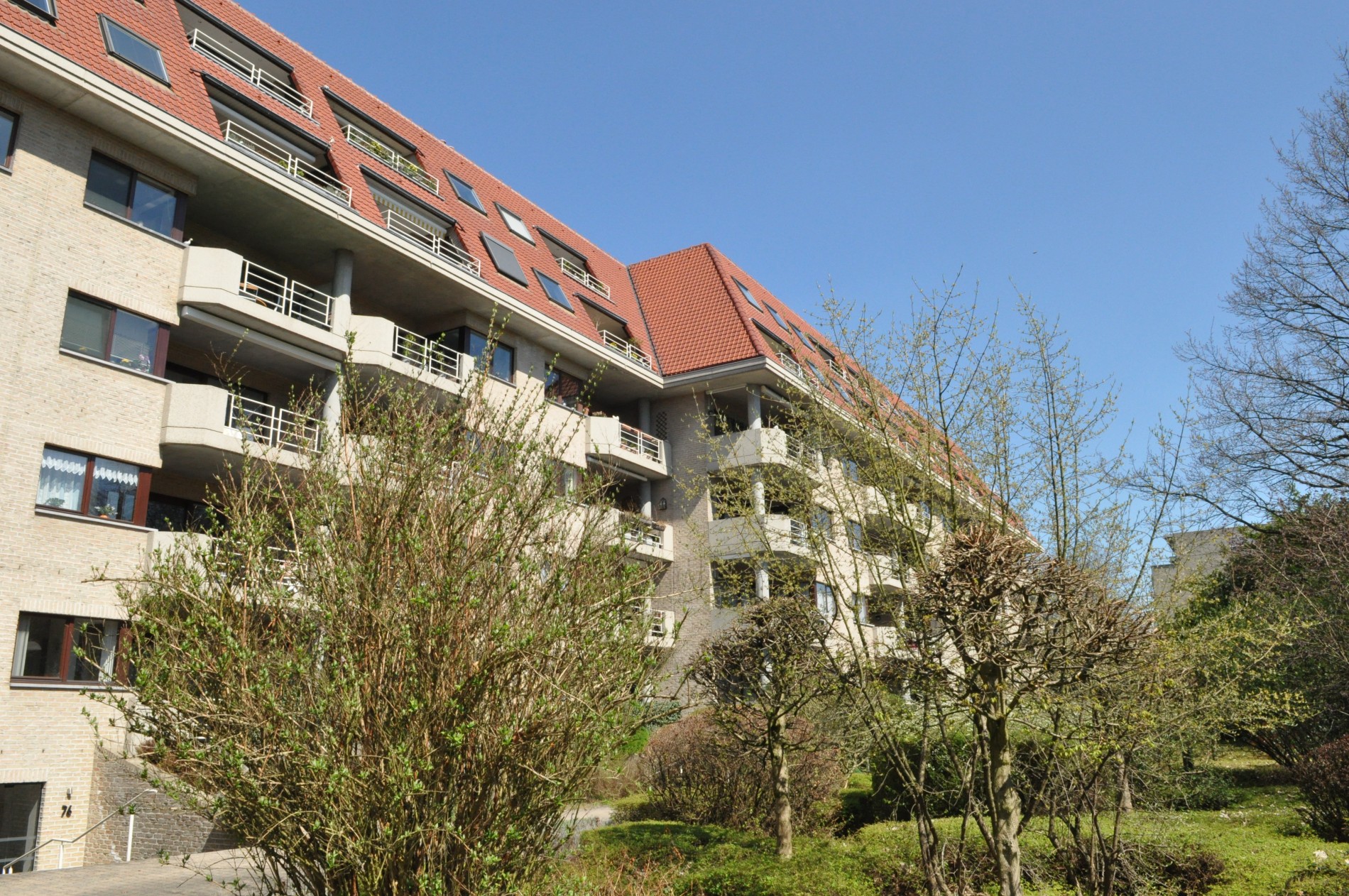 estate